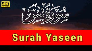 Surah Yaseenn | Surat ul Yasiin | Beautiful Quran Surah Yaseenn | @#HafizArshadAhmadOfficial
