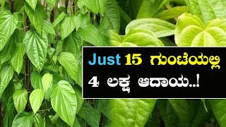 15 ಗುಂಟೆಯಲ್ಲಿ 4 ಲಕ್ಷ ಲಾಭ ಪಡೆಯುವ ಮಾರ್ಗ ಕಂಡುಕೊಂಡ ಮಾದರಿ ಕೃಷಿಕ #organicfarming