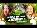 Son chien n'a plus peur chez le vétérinaire ! | Laetitia Gonnon - Eduzen