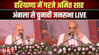 Amit Shah Public Meeting LIVE in Ambala | Haryana Election 2024 | Navbharat Times