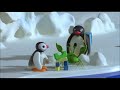 pingu and the band 🐧 pingu official channel cartoons for kids