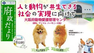 【大阪府公式】もずやんと広報担当主事 其の三十二（人と動物が共生できる社会の実現に向けて 大阪府動物愛護管理センター）