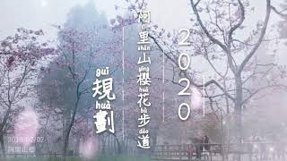 20200201阿里山櫻花季規劃日期