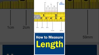 Let’s Learn About Measuring Length! | Easy Math for Kids | Wit Buddies