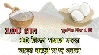 মুরগির ডিম আর গোমের চাকি আটা দিয়ে 3কেজি ওজনের ফাঙ্গাস মাছ ধরলাম #fishing #fish #fishingvideo