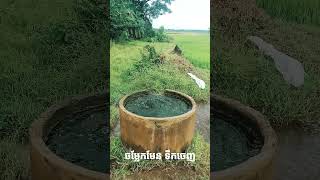 ចម្លែកមែន ទឹកចេញ: Strange water out