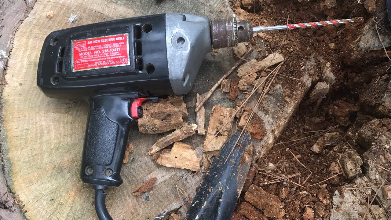 Reusing My Tree Stump Youtube