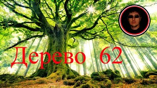 Ответы на вопросы-20. Переселенцы и осужденные. Дерево 62 #генеалогия #родословная