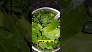 Traditional haircare || Hibiscus neem leaves for dandruff hairfall  hair growth|| strength hair root