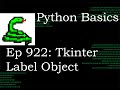 Python Basics Tutorial Create Tkinter Label Object || Digital Clock Series