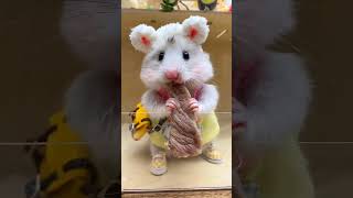 Awww so cute 🥰🥰 #mouse #smartpet #crazypetlovers #kitten #cat