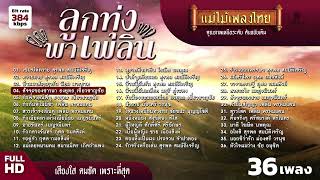 รวมเพลง ลูกทุ่ง พาเพลิน 36 เพลง #เพลงต้นฉบับ #แม่ไม้เพลงไทย