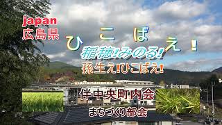 「ひこばえ」稲刈り後!稲株に!稲穂が!実る!「切り株や残った根から出る芽」!