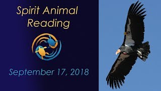 9/17/2018 power animal reading (Condor spirit animal meaning)