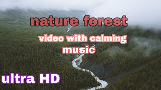 #nature with beautilful calming music #relaxing #song #forest #sea
