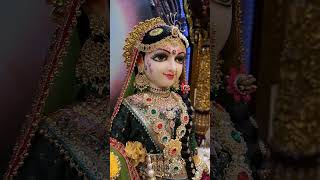 Hari naam sankirtan #hare Krishna #hare rama#viral video#shorts