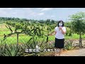 36【已售出】【立即預約】屏東鹽埔鄉 最便宜農地 高雄農舍、屏東農舍 jane 晚聊不完