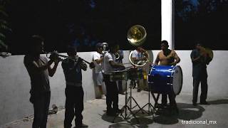 Pura Cumbia Huasteca por la Banda Santa Rosa de Lima