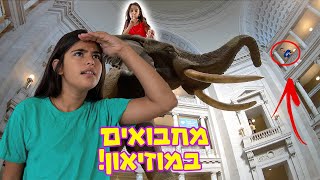 שיחקנו מחבואים במוזיאון!