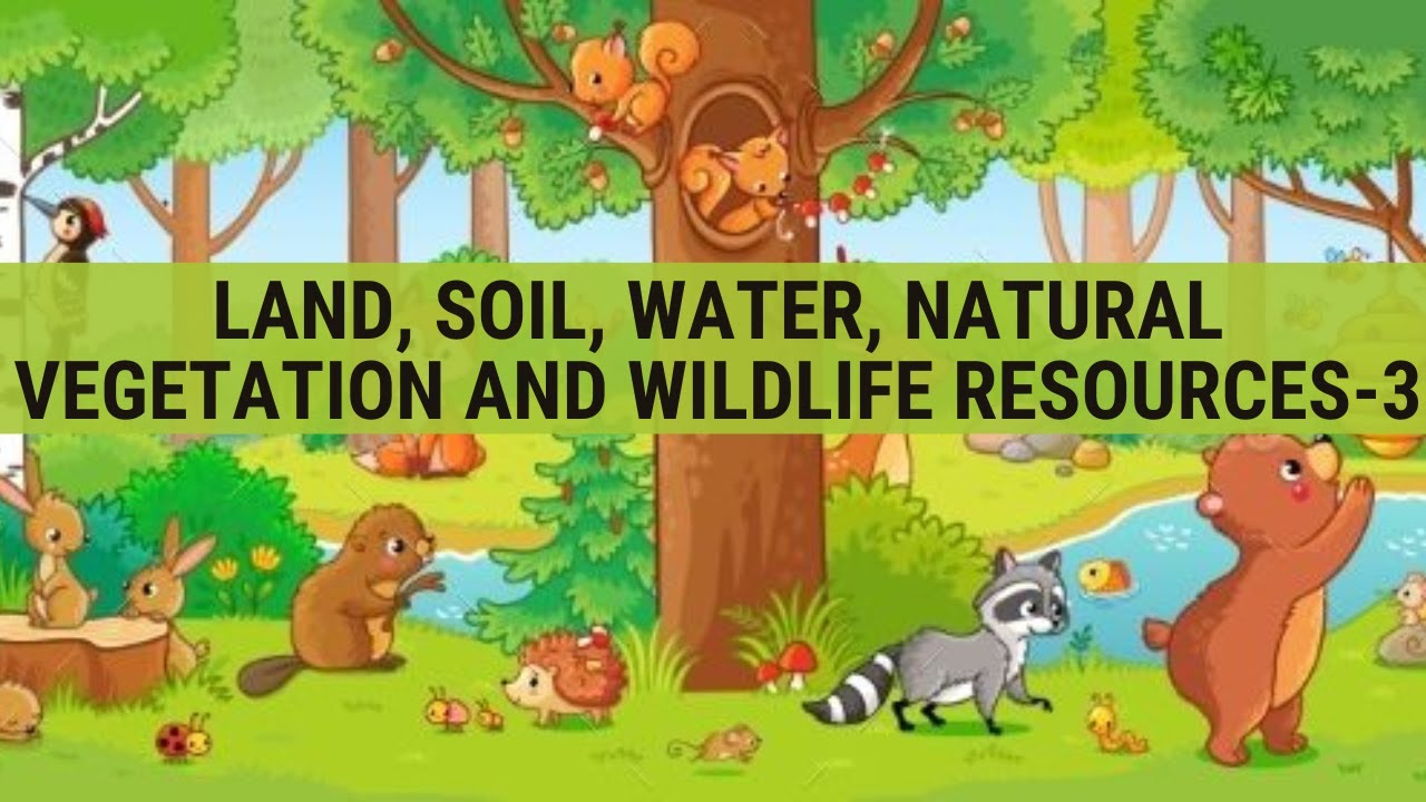 Chapt 2 Land, Soil, Water, Natural Vegetation & Wildlife Resources ...