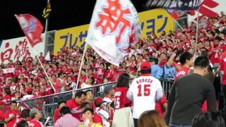 H27.10.04　ｶｰﾌﾟ勝利に沸くｶｰﾌﾟ応援団　広島×阪神　最終戦