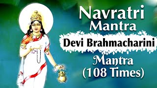 Devi Brahmacharini Mantra jaap 108 Times ( Day 2 Navratri Mantra) | Durga bhajan | Navratri bhajan