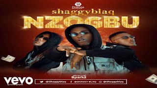 Shaggyblaq - NZOGBU [Official Video]