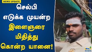 செல்பி எடுக்க முயன்ற இளைஞரை மிதித்து கொன்ற யானை..! Selfie | Elephant