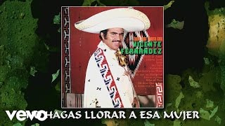 Vicente Fernández - No Hagas Llorar a Esa Mujer (Cover Audio)