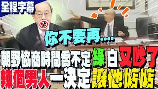 【全程字幕】朝野協商時間喬不定...柯建銘.吳思瑤VS.民眾黨又爆吵 辣個男人\