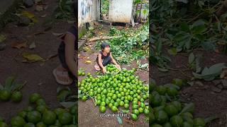 DIKIRA ANAK BAIK TERNYATA BAPANYA MALING