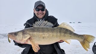 GIANT Saginaw Bay Walleyes! - In-Depth Outdoors TV Season 13, Episode 13