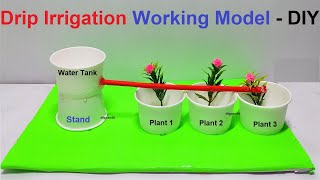 drip irrigation working model using paper cup - eco friendly science project - diy | DIY pandit