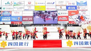 [4K]お喜楽家～樂～　2017高知よさこい祭り 本番2日目 中央公園会場