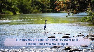 מהו המאסטר וכיצד להתחבר למאסטריות - תקשור אמא אדמה, מרגש!