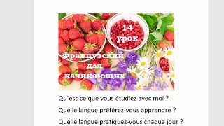 Французский язык легко с Агатой, 14 урок, вопросы и притяжательные прилагательные