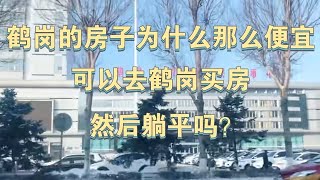 鹤岗的房子为什么那么便宜，可以去鹤岗买房，然后躺平吗？#中国 #房地产 #鹤岗 #房产#房价 #china