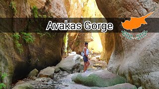 Avakas Gorge Cyprus