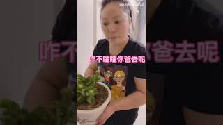 东北妈妈教你教科书版手撕绿茶！！！