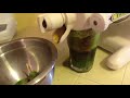 gerson therapy juicing green vegetable juice 2015 update