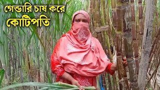 বাংলাদেশে এই প্রথম মহিলা কৃষক | গেন্ডারি চাষ করে কোটিপতি