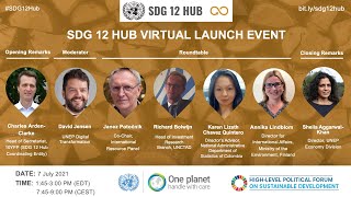 SDG 12 Hub Virtual Launch Event