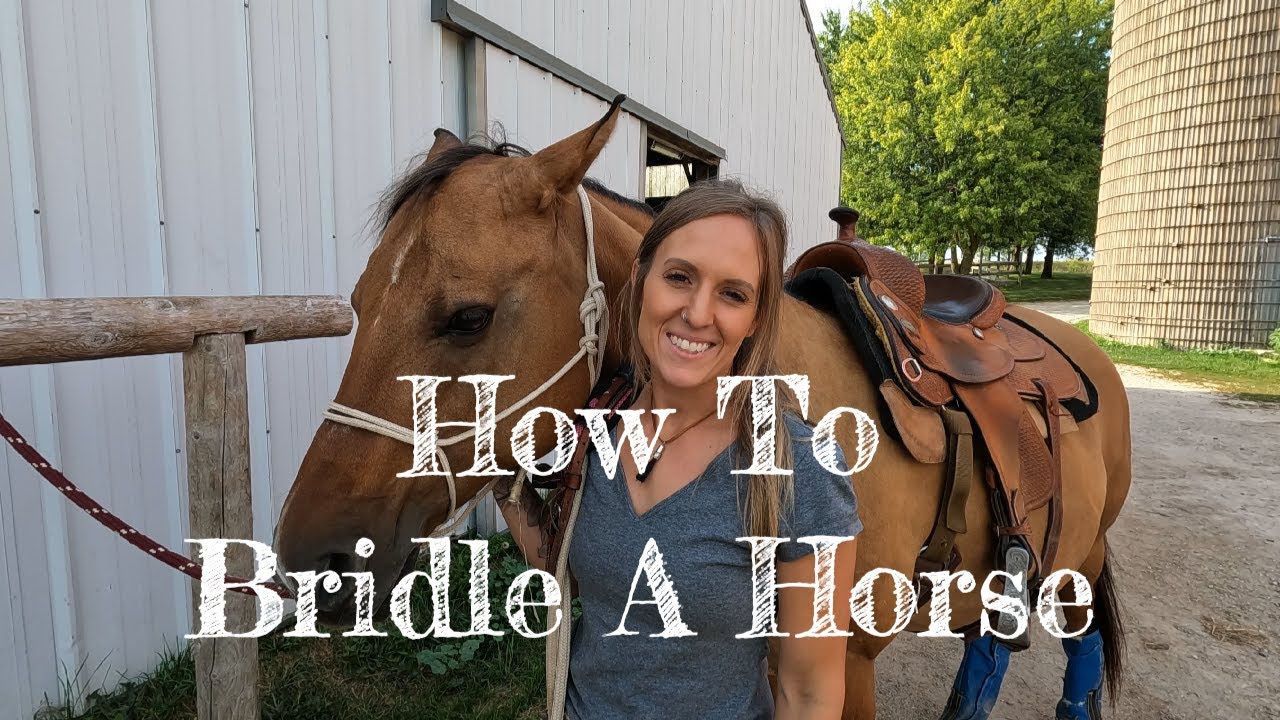 How To Bridle A Horse - YouTube