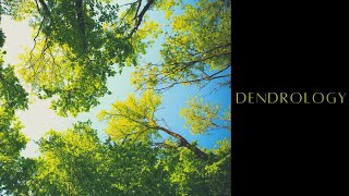 Dendrology | Course details