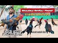 Wholesale NatiKoli Market Bangalore | Wholesale Chicken Market Bangalore 7019510514