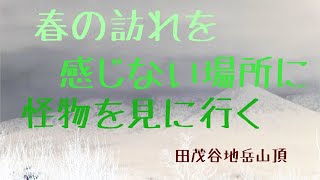 壮絶スポット　春の訪れを感じない場所　八甲田連峰　田茂谷地岳山頂　スノーモンスター