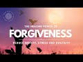 The HALING Power of Forgiveness, Guided Meditation