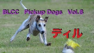 BLCCルアーコーシング　 Pickup Dogs Vol.８　ウィペット　ディル