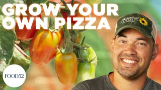 How to Plant Everything You Need For Garden Fresh Pizza | Growing Epic Groceries (New Series!)