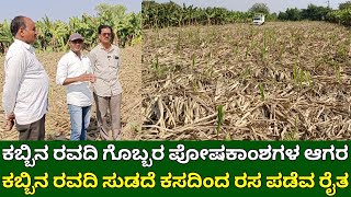 ಕಬ್ಬಿನ ರವದಿ ಗೊಬ್ಬರ ಪೋಷಕಾಂಶಗಳ ಆಗರ | ಕಸದಿಂದ ರಸ ಪಡೆವ ರೈತ | trash mulching in sugarcane | sugarcane farm